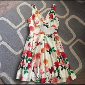 BB Dakota Dahlia sundress
